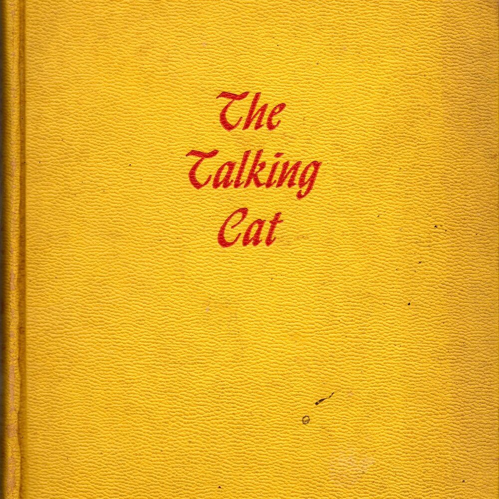 The Talking Cat